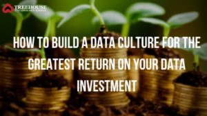 How to Build a Data Culture